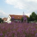 19_am_kreisel
