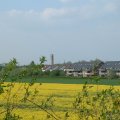 20_rapsfeld