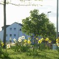 22_kreisel