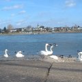 26_am_rhein
