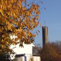 29_herbst