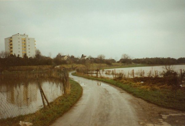 hoch93_4
