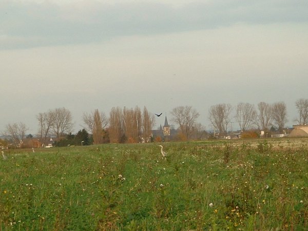 bu02_10