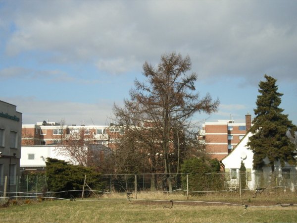 bu06_3