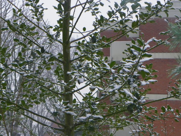 bu12_00