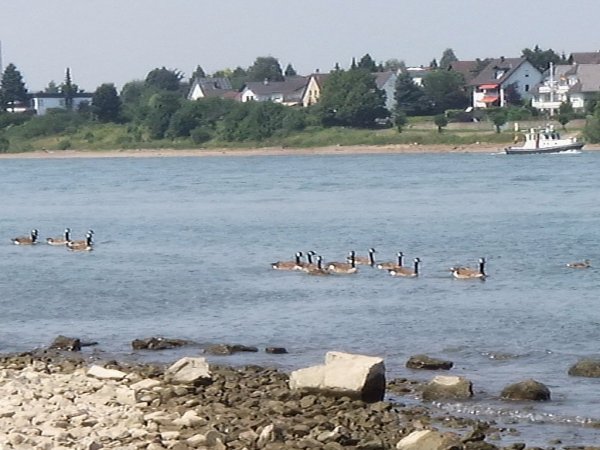 bu12_06