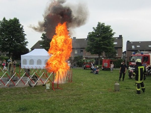 fffest10