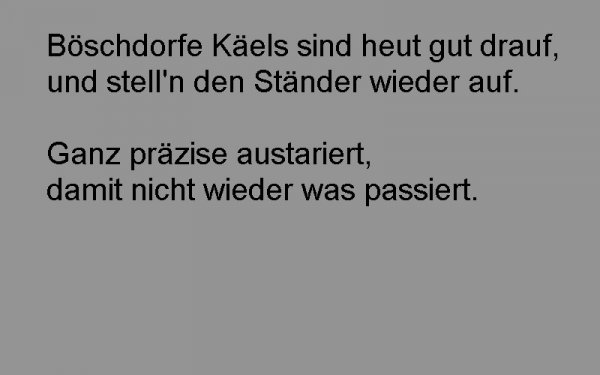 staender2013_3a