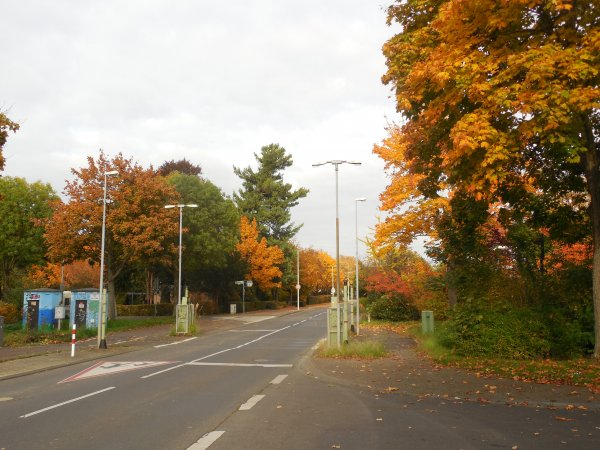 2015_14