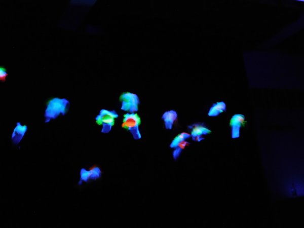 DSCN0275