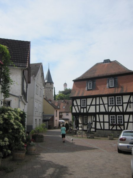 IMG_2011