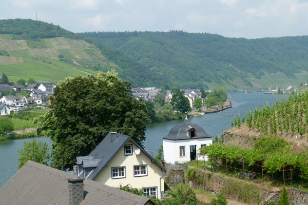 P1050246