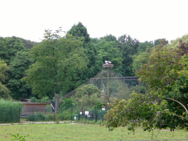 27 StÃ¶rche, Hist. GÃ¤rten entlang des 600 m lange Wasserkanals
